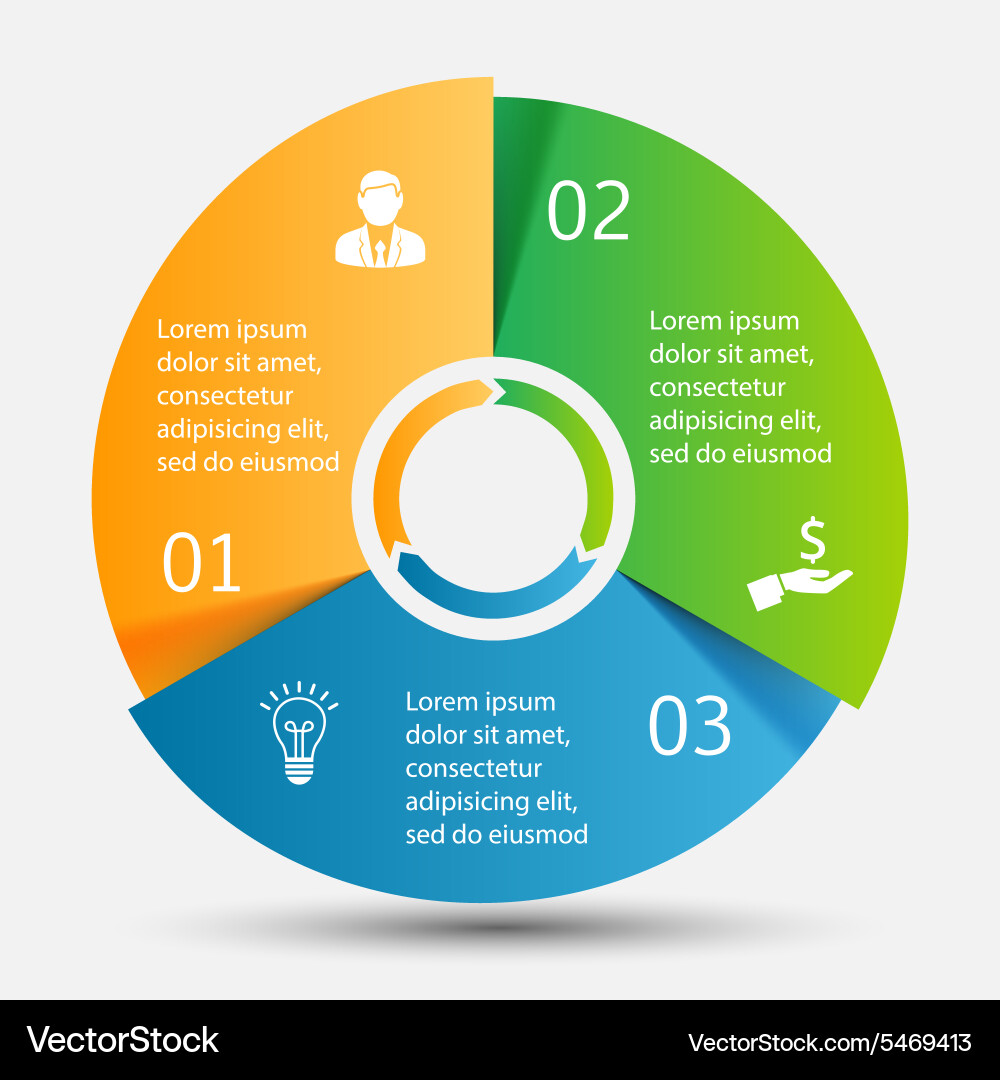 Circular Data Chart Infographic vector image