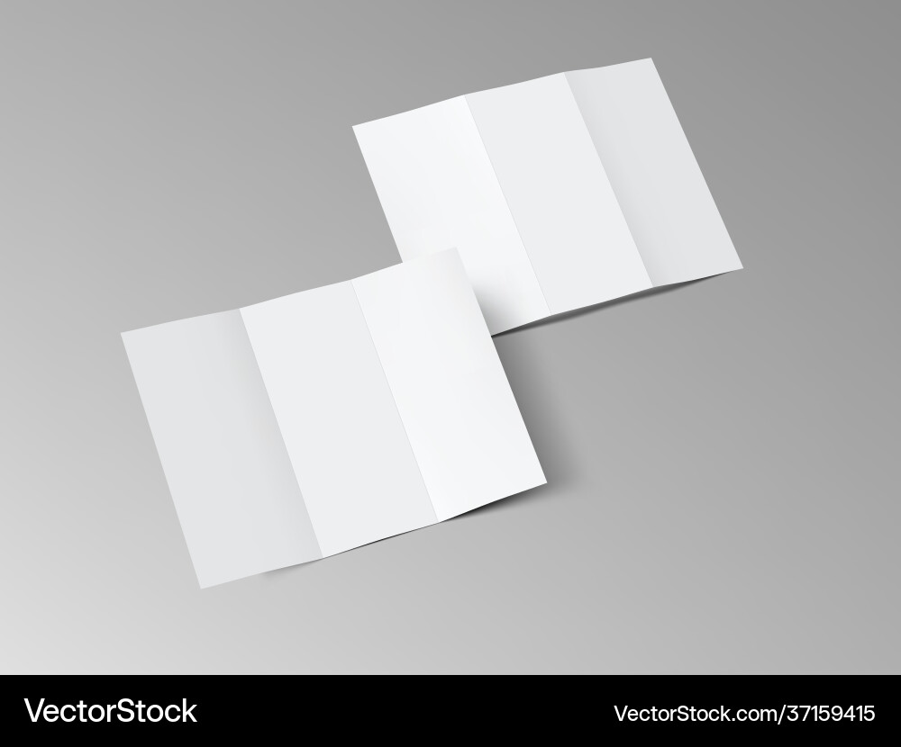 Front and back side open trifold paper leaflet vector image