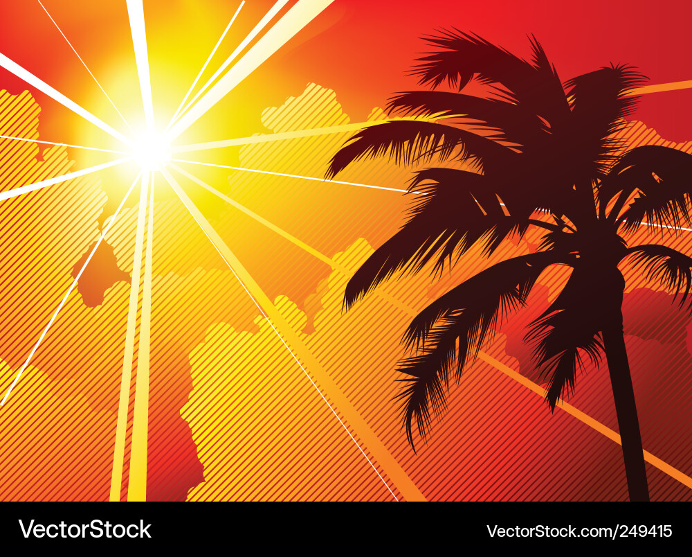 Tropical Sun & Palm Tree Vector Image