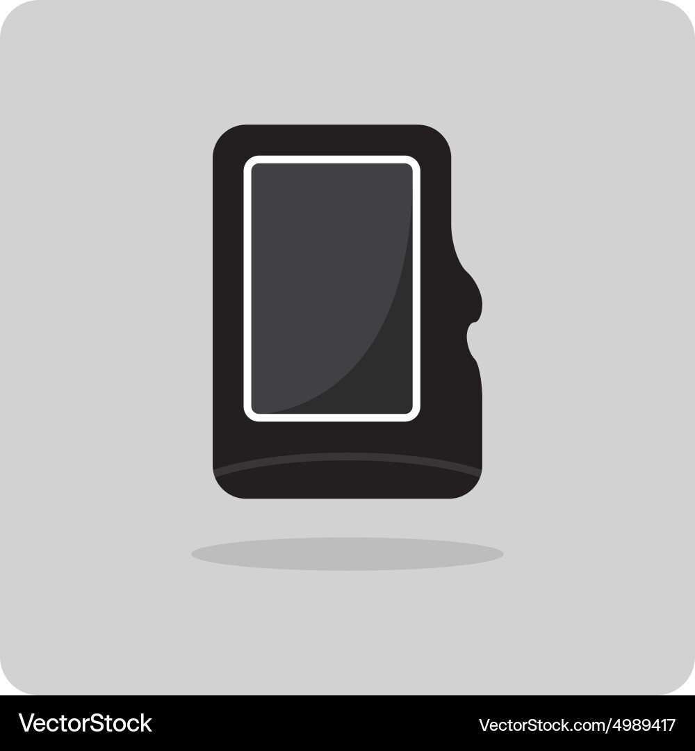 Compact Memory Card Icon vector image