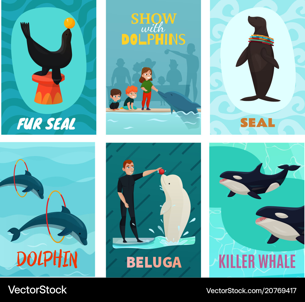 Dolphinarium Kartenset Dolphinarium Kartenset vektorbild
