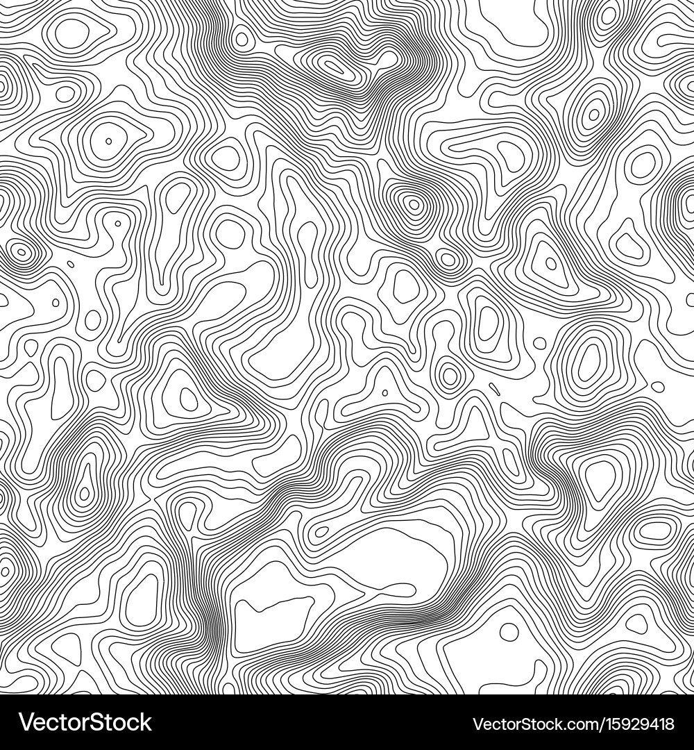Topographic Map Pattern vector image
