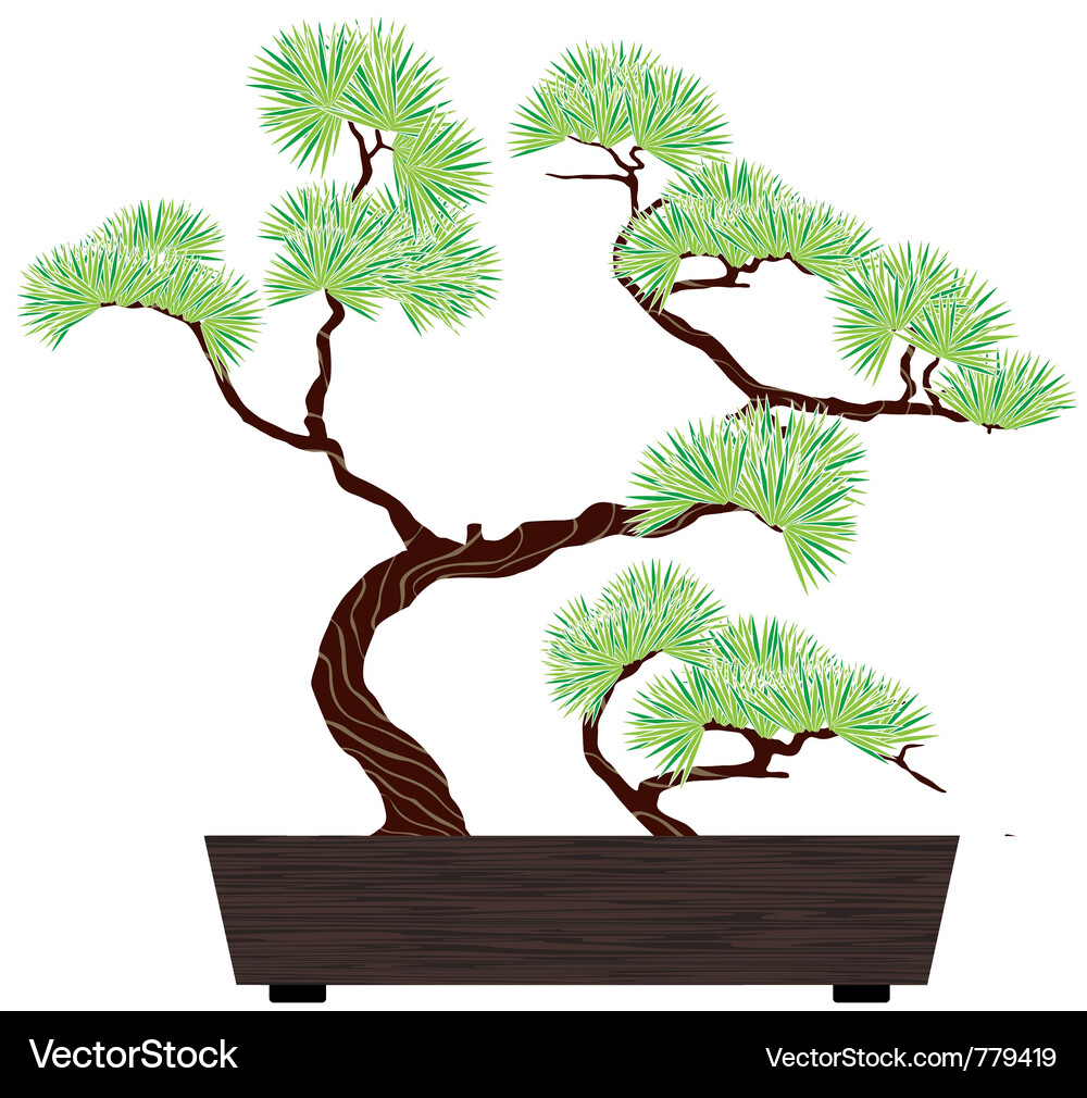 Elegant Bonsai Pine in Box Vector Image