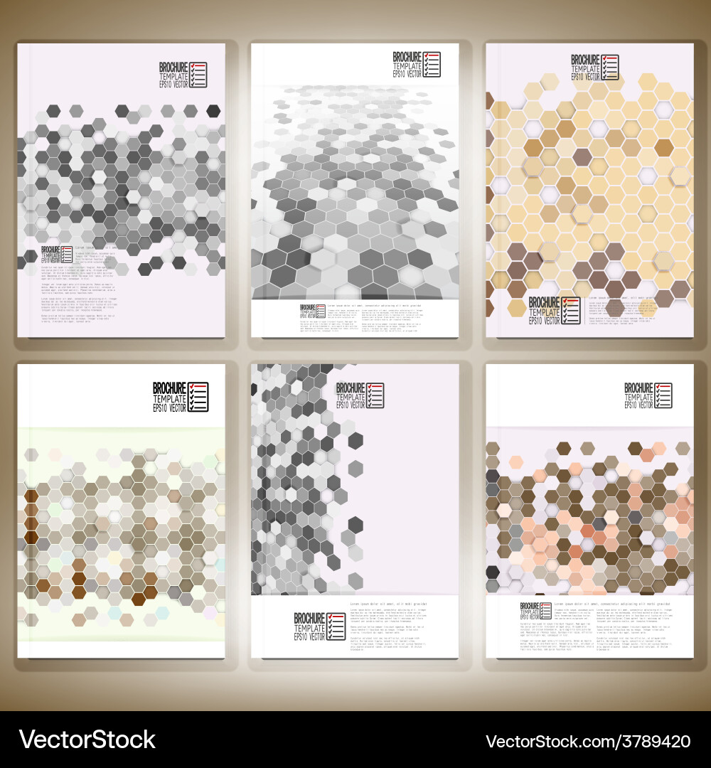 Hexagonal Abstract Patterns vector image