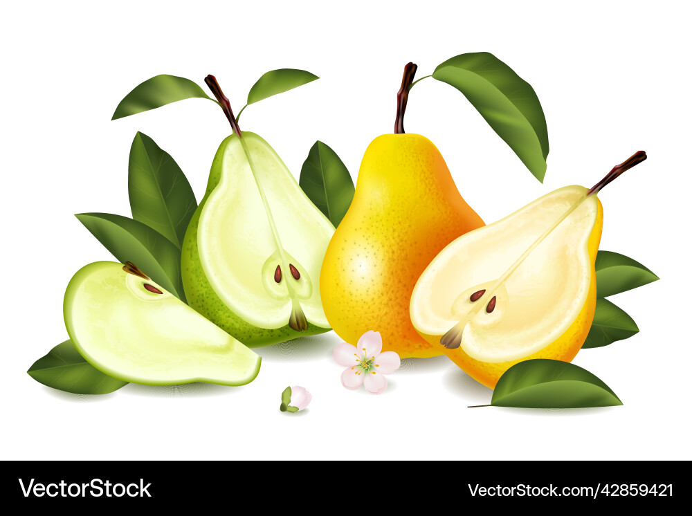 Realistic pear composition Royalty Free Vector Image