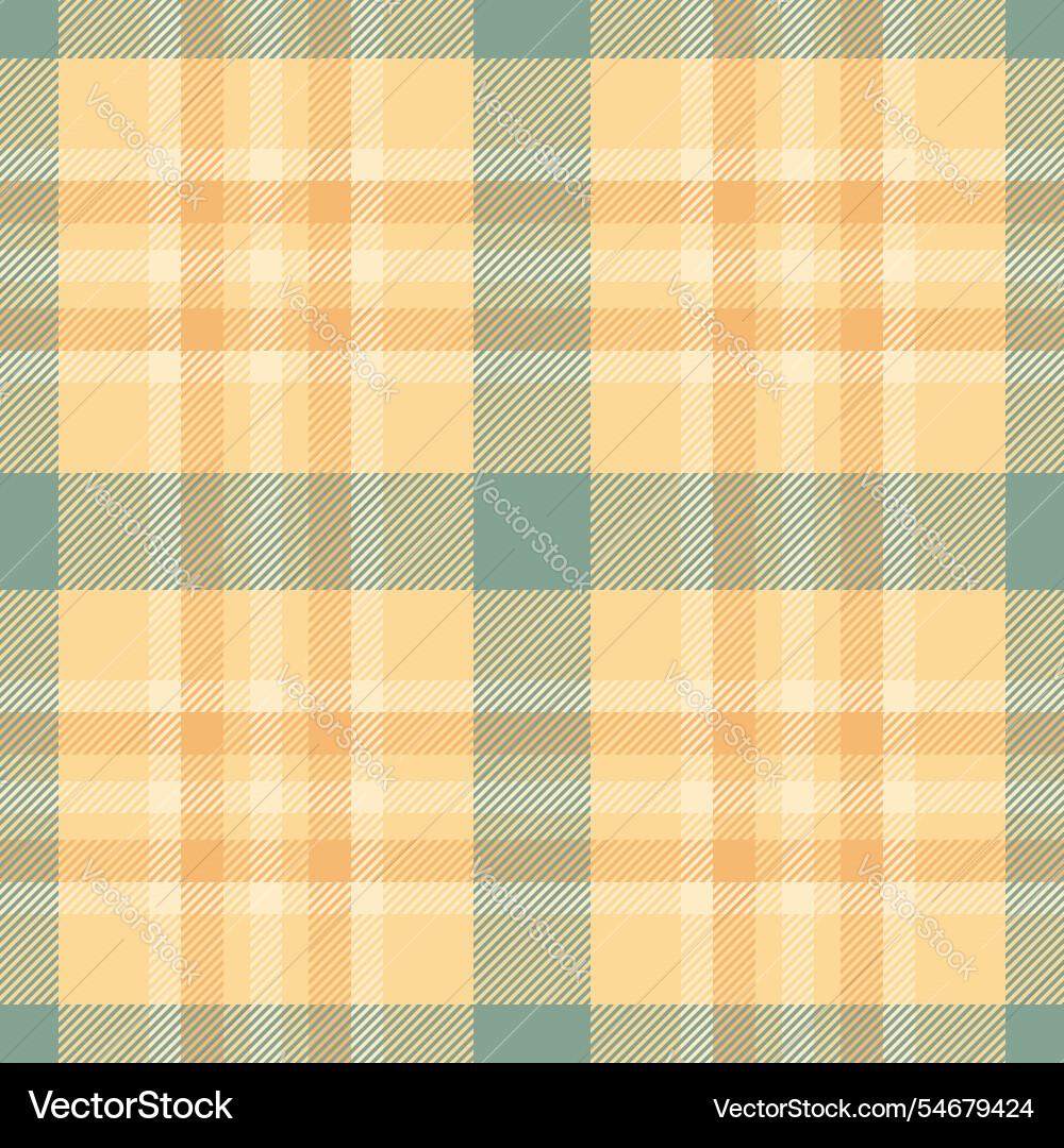 Complexity tartan pattern graphical fabric Vector Image