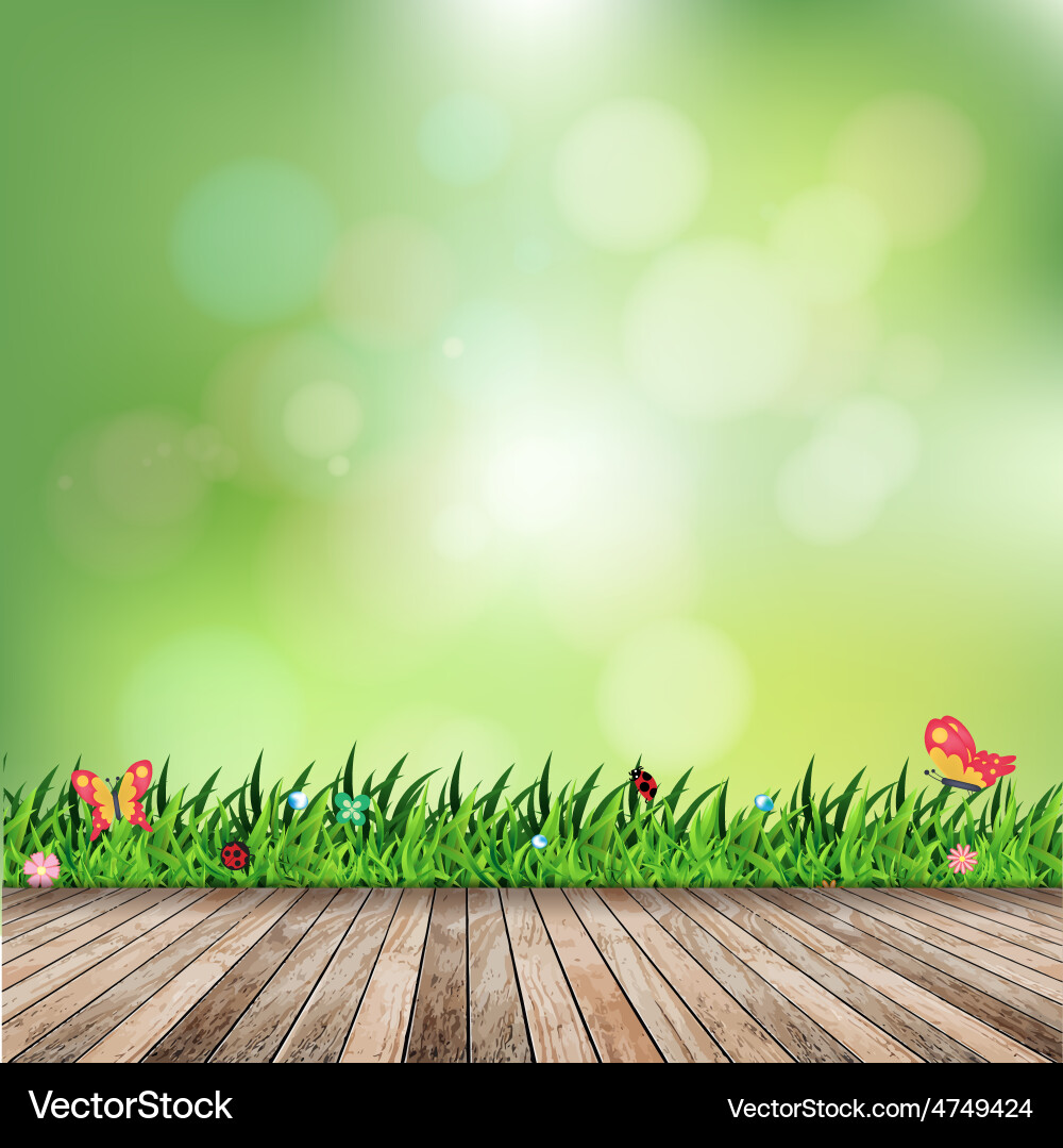 Spring Green Grass with Bokeh vector image