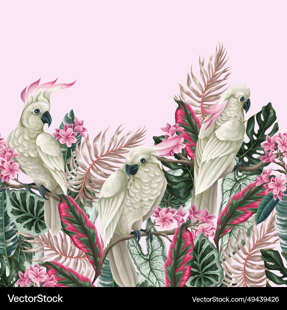 Border with cockatoo tropical leaves and flowers Border with cockatoo tropical leaves and flowers vector image