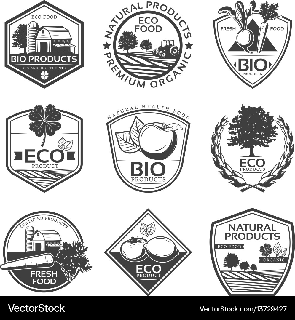 Eco Organic Labels & Elements Royalty Free Vector Image