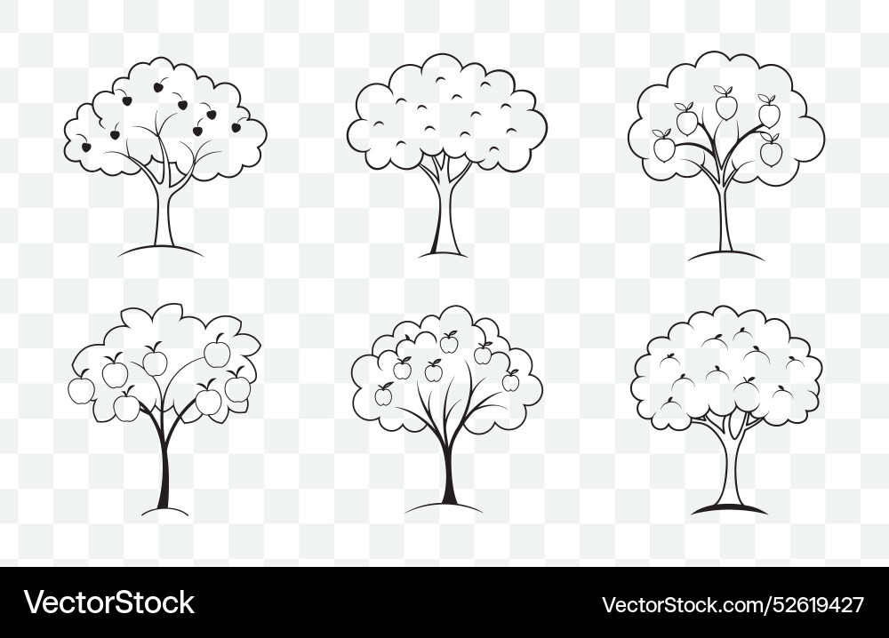 Print apricot tree line art set vector image
