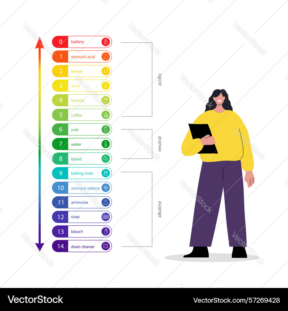 Ph scale chart of values and balance level Ph scale chart of values and balance level Vector Image