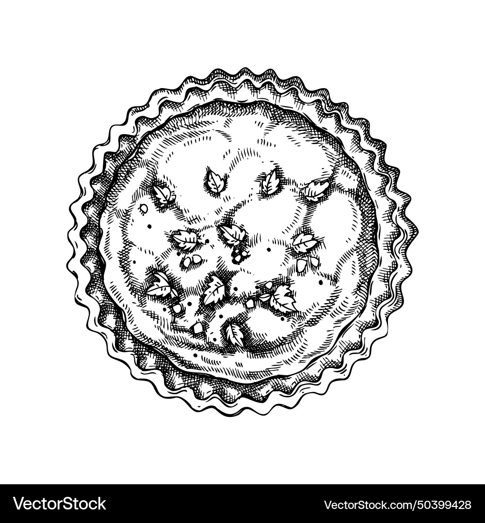 Quiche lorraine vintage drawing french tart Quiche lorraine vintage drawing french tart vector image