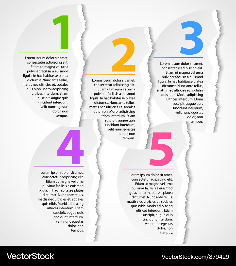 Torn paper progress option labels vector image