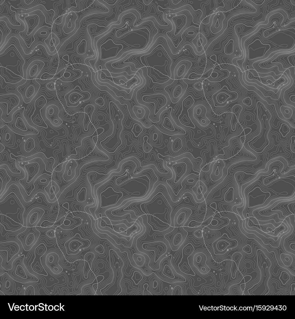 Seamless pattern topographic map background vector image