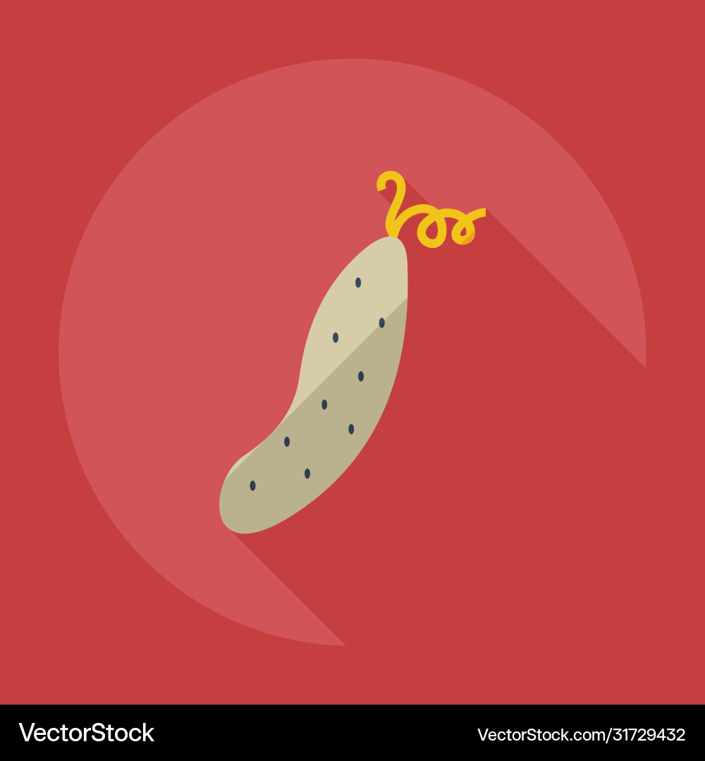 Flat modern design with shadow icons cucumber Flat modern design with shadow icons cucumber vector image