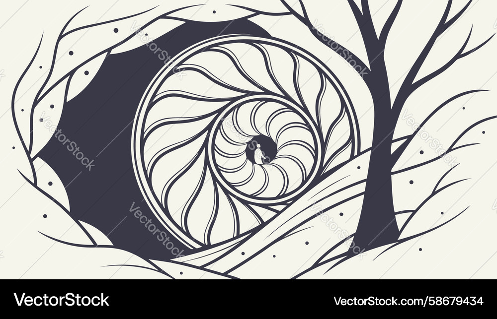 Abstract spiral shell line art pattern design Vector Image