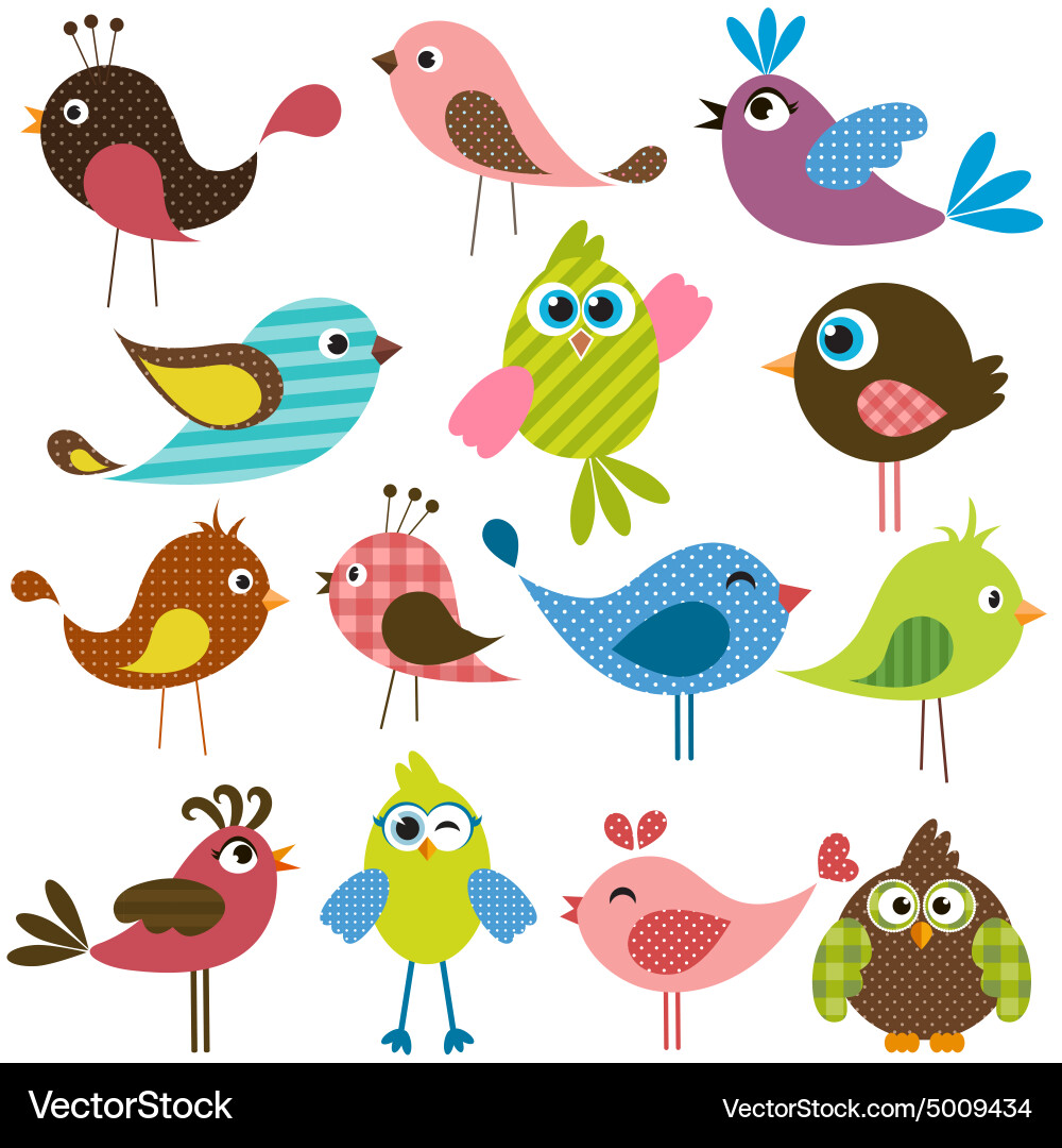 Colorful Bird Collection Vector Image