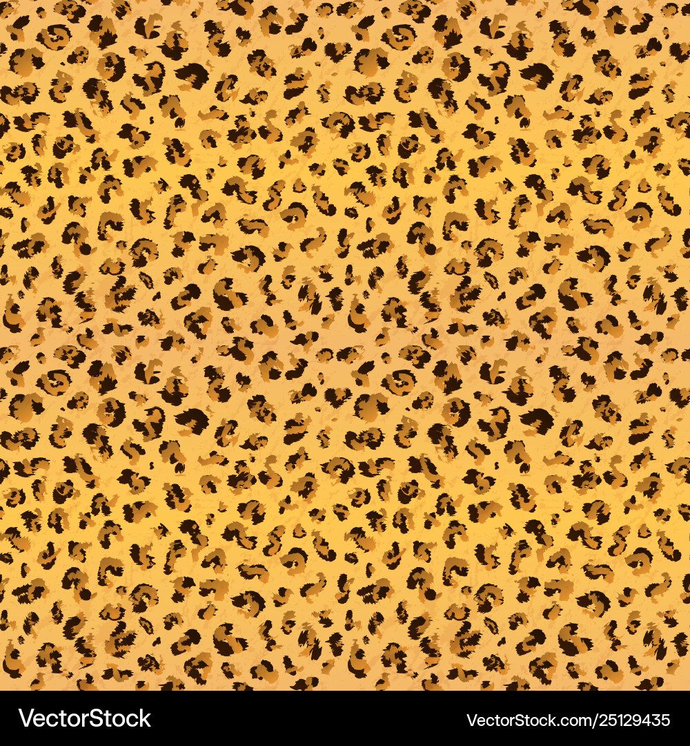 Leopard Print Pattern vector image