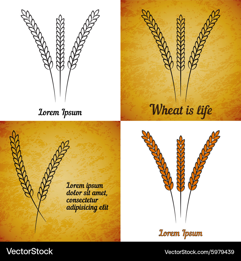 Set of wheat ears on different layers Vector Image