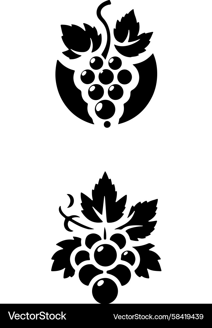 Stylized Grape Clusters Vector Image