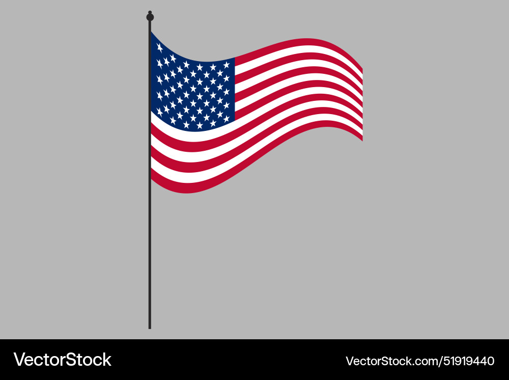 American Flag - Stars and Stripes Vector Image