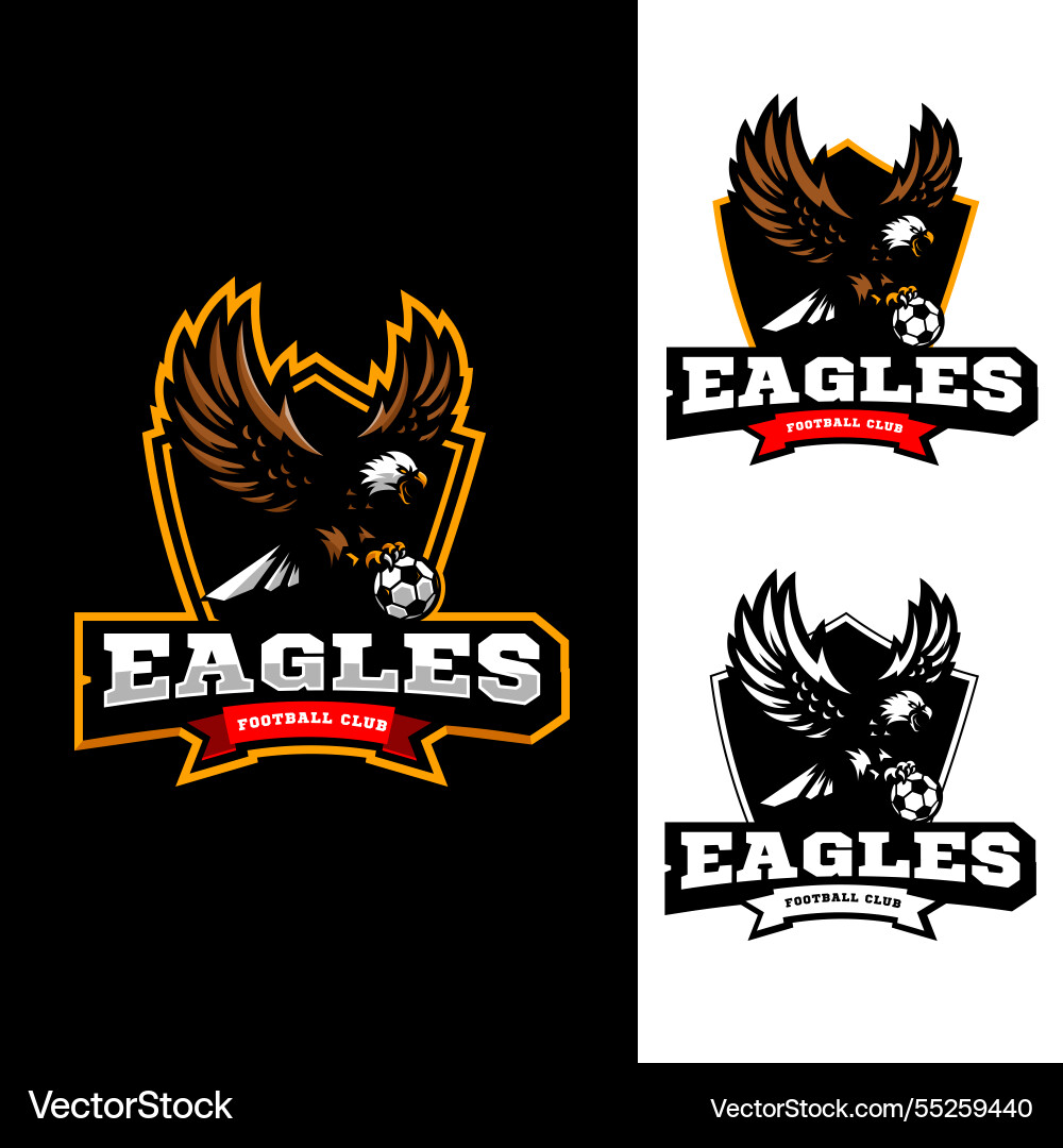 Eagle logo for team sports Eagle logo for team sports vector image