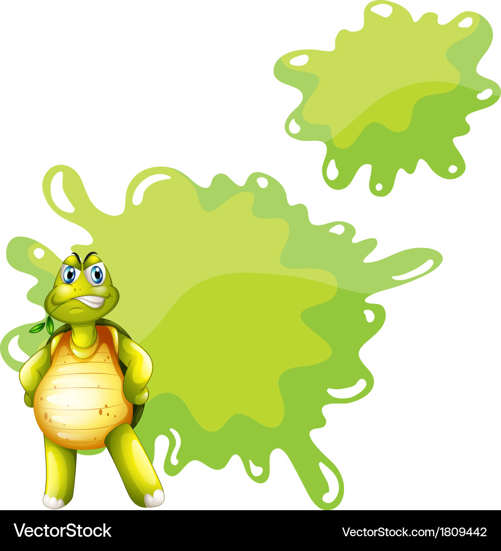 Angry Turtle with Empty Space Vector Image