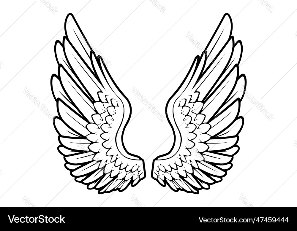 Elegant Angel Wings Vector Image