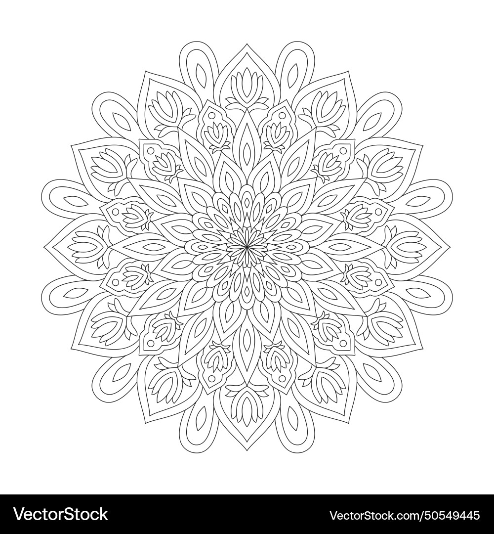 Circular pattern in the form of a mandala vector image