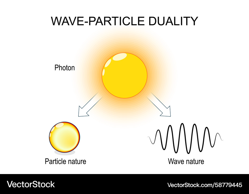 Photon Duality: Wave-Particle Concept Vector Image