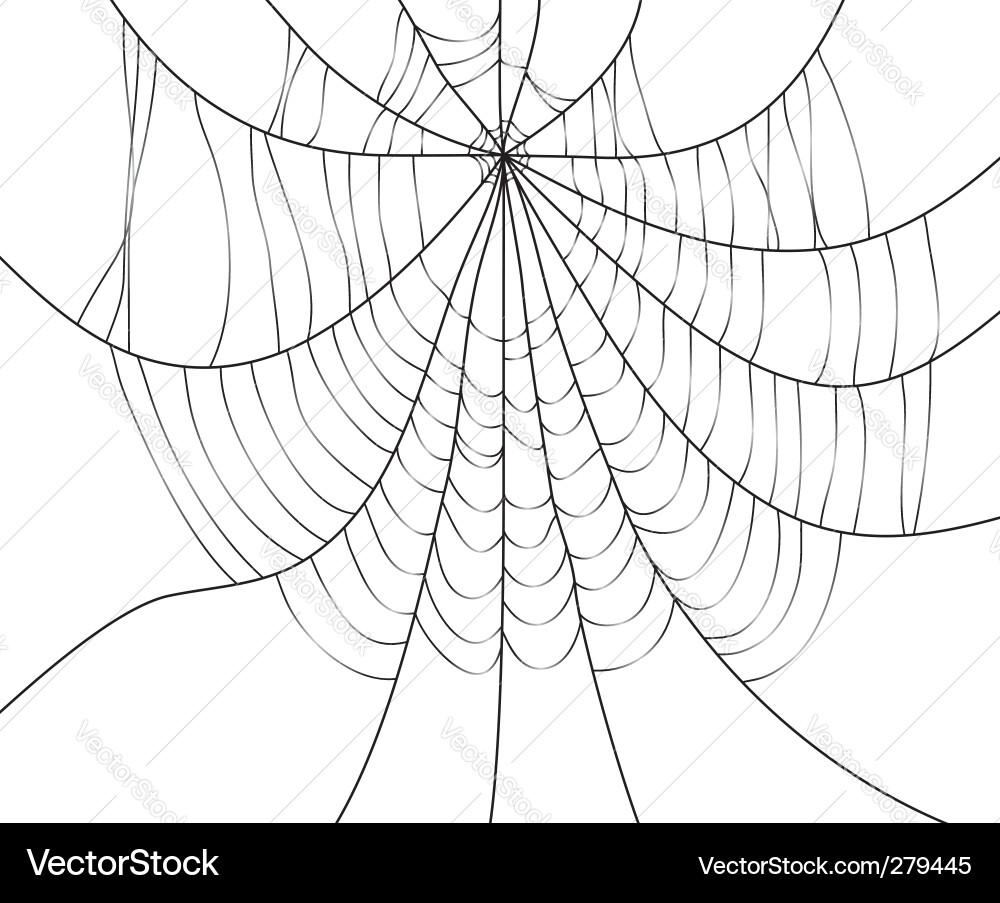 Spider Web Pattern vector image