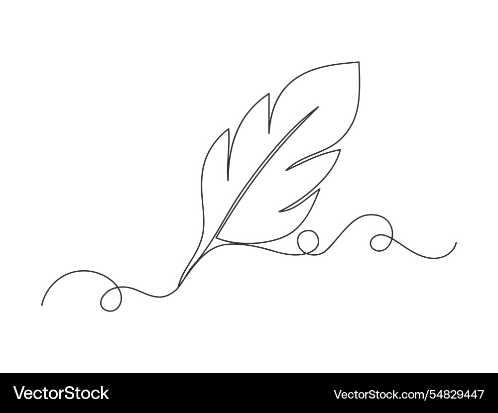 Continuous one line feather art isolated Vector Image