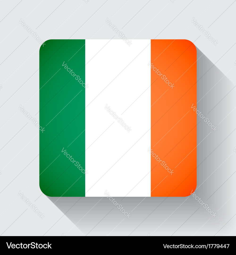 Web button with flag of ireland vector image