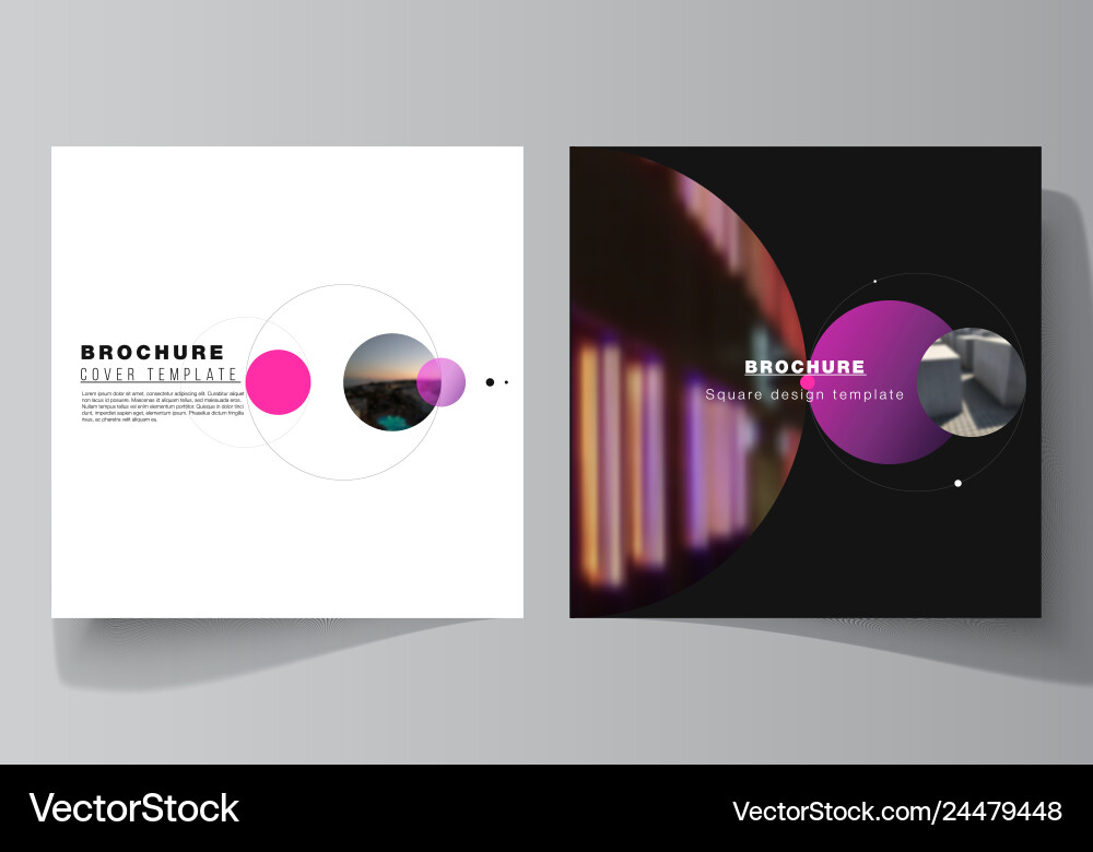 Layout of two square format covers design Layout of two square format covers design vector image