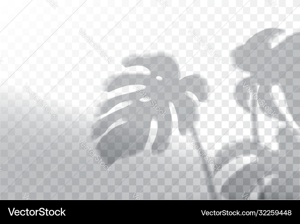 Shadow overlay effects mock up window frame Shadow overlay effects mock up window frame vector image