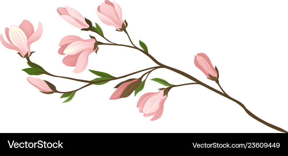 Kleine Perücke mit schönen rosa Blüten und grün Kleine Perücke mit schönen rosa Blüten und grün vektorbild