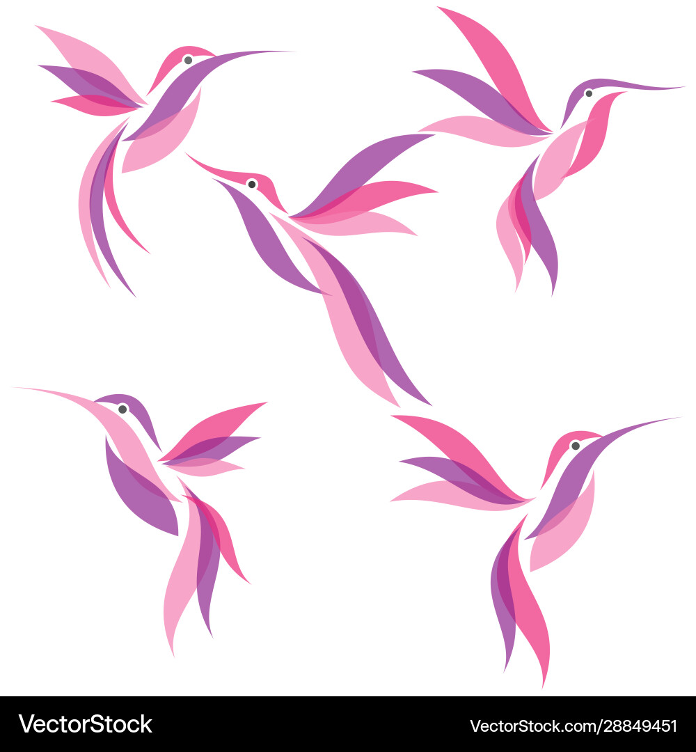 Abstract Hummingbird Set vector image