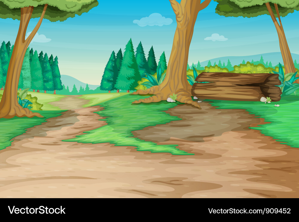 Forest path vector image