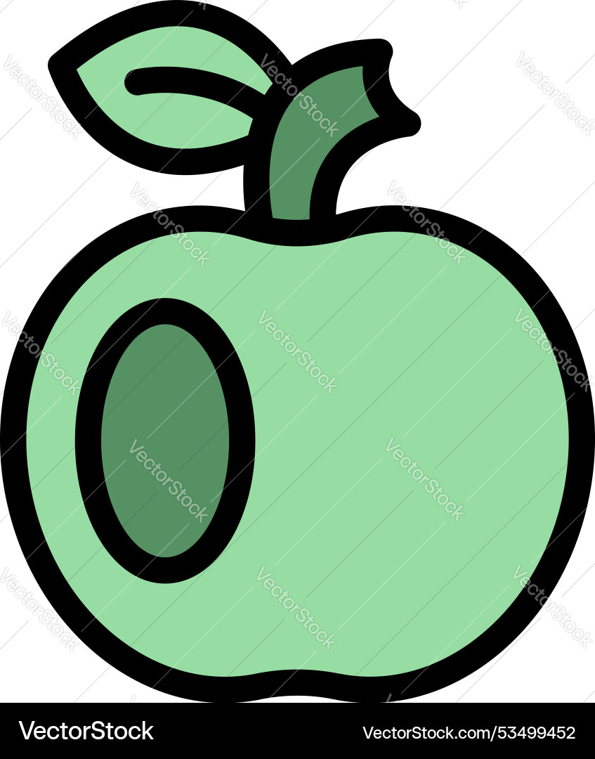 Green apple showing its cross section with seeds Green apple showing its cross section with seeds Vector Image