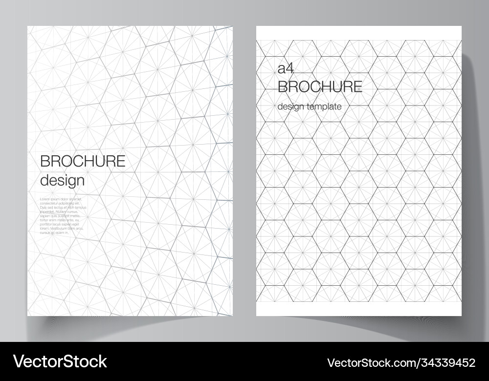 Layout a4 format cover mockups design Layout a4 format cover mockups design vector image