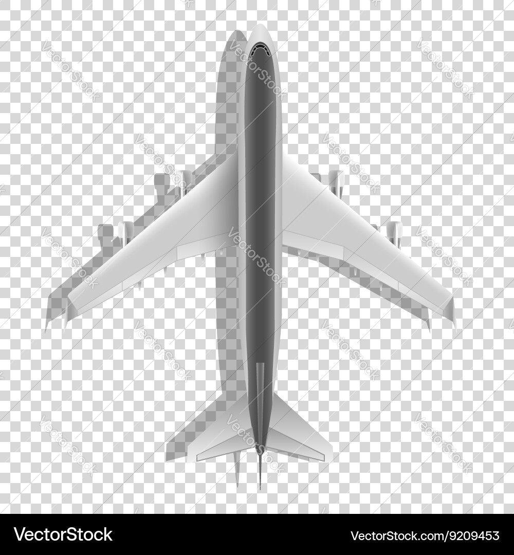 Airplane above icons passenger plane isolated – Royalty-Free Vector |  VectorStock, image size:1000x1080