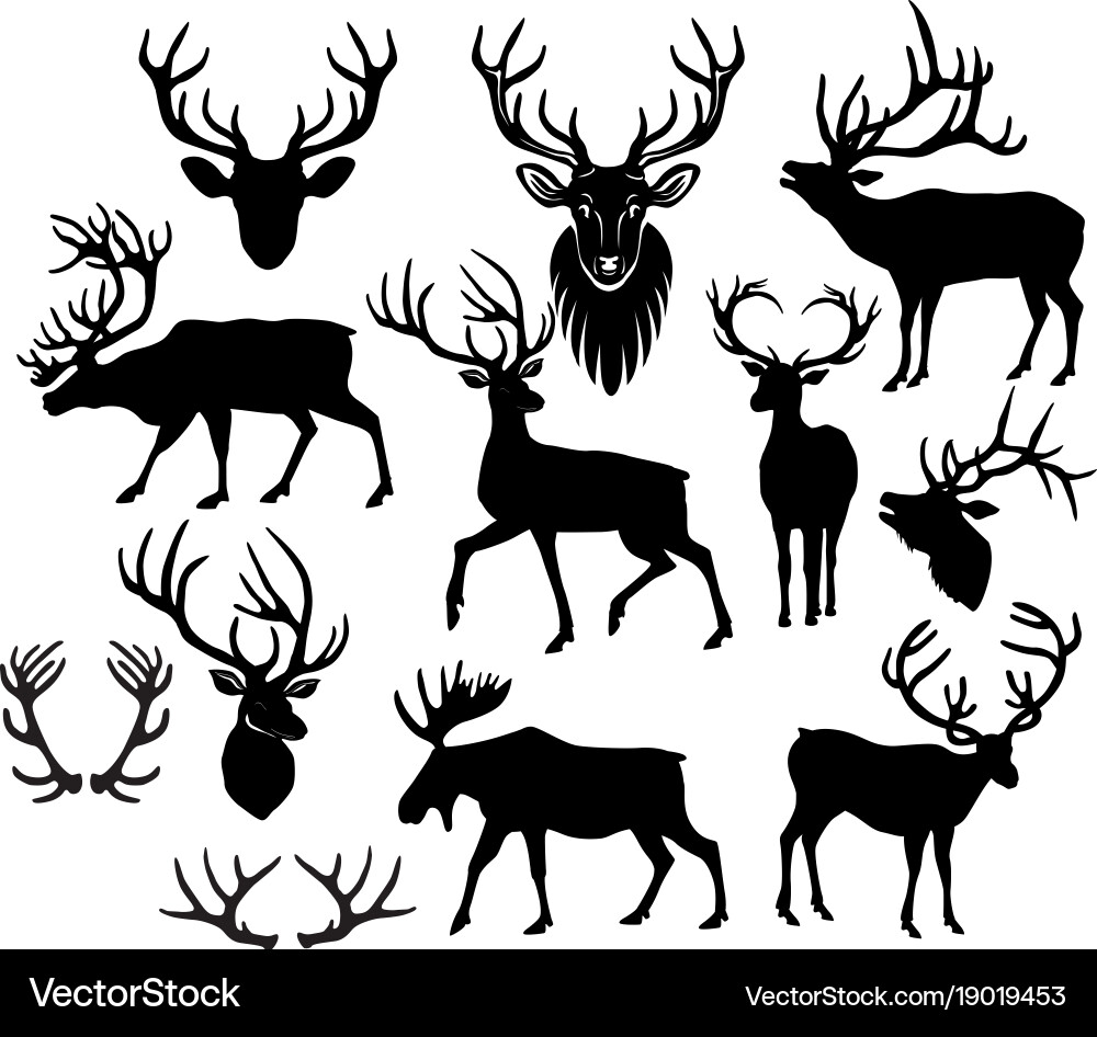 Deer Silhouettes - Black & White Vector Image