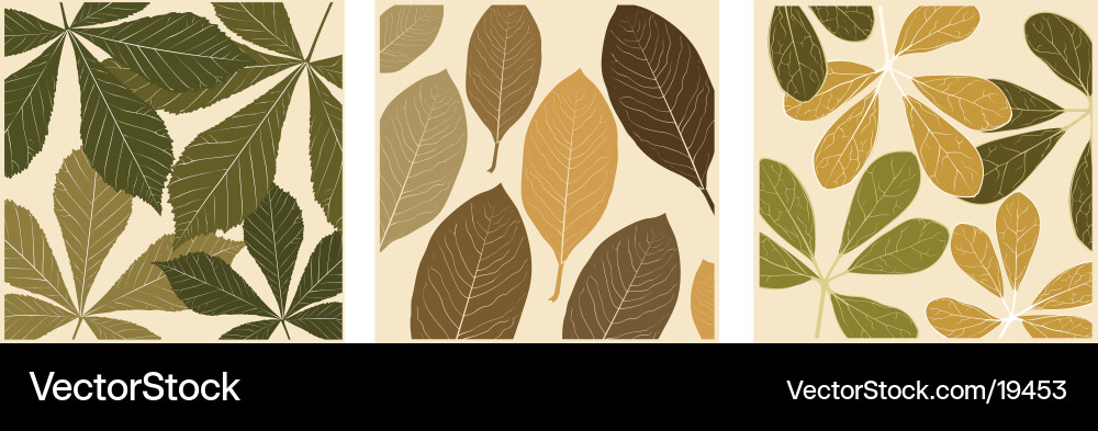 Leaf patterns Vector Image