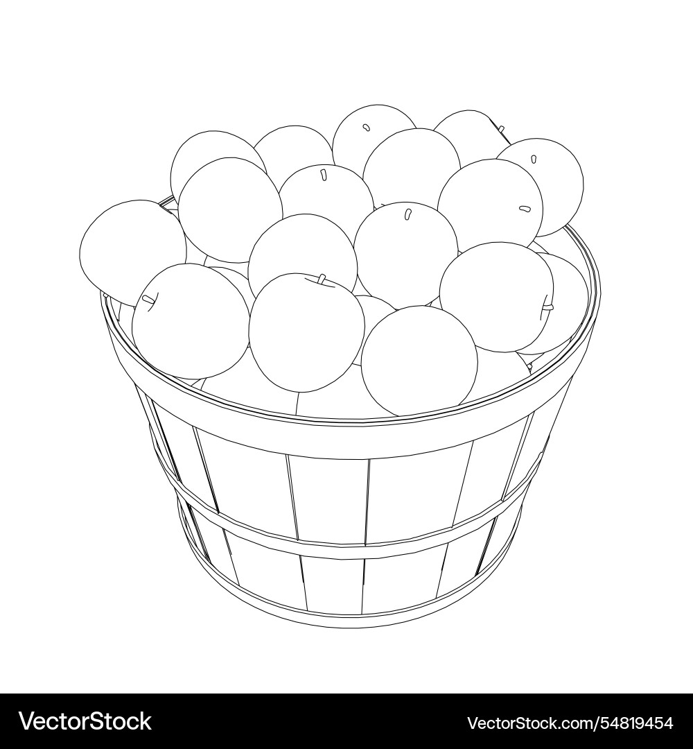 Outline of a pile apples in bucket from Outline of a pile apples in bucket from vector image