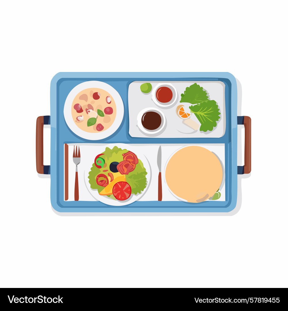Overhead view of a colorful tray with various Overhead view of a colorful tray with various Vector Image