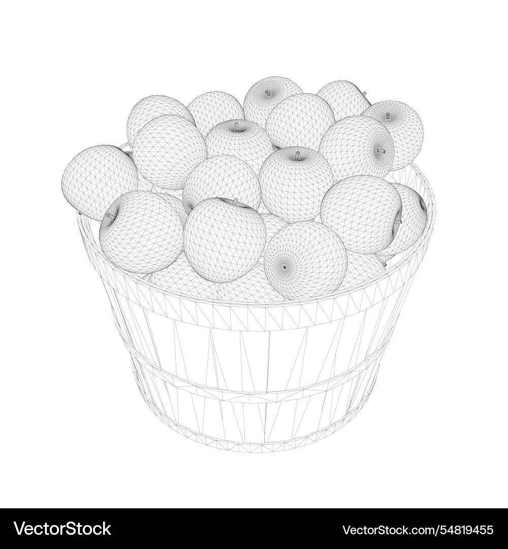 Wireframe of a bunch apples in bucket made Wireframe of a bunch apples in bucket made vector image
