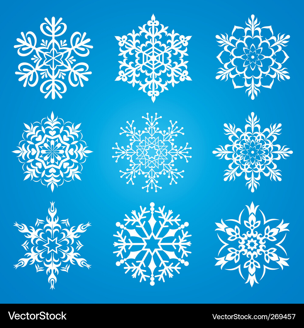 Winter Snowflake Collection Vector Image
