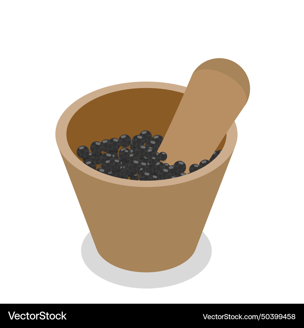 3d isometric flat set of black pepper item Vector Image