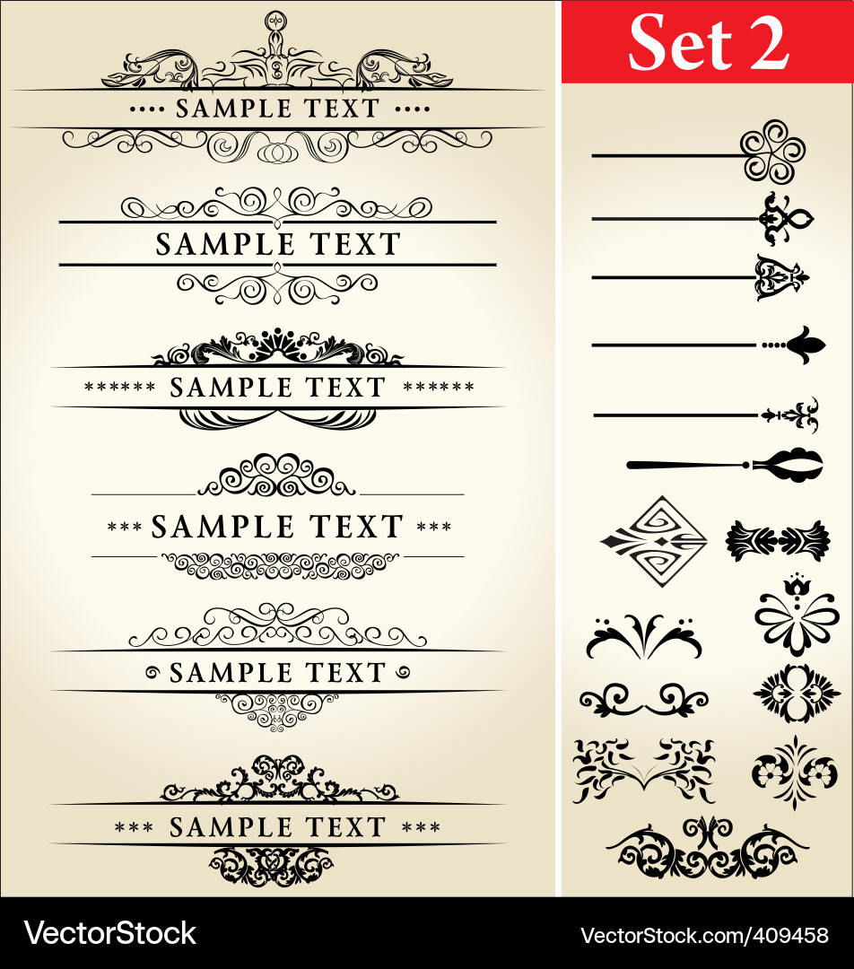 Calligraphic Flourishes & Ornaments vector image