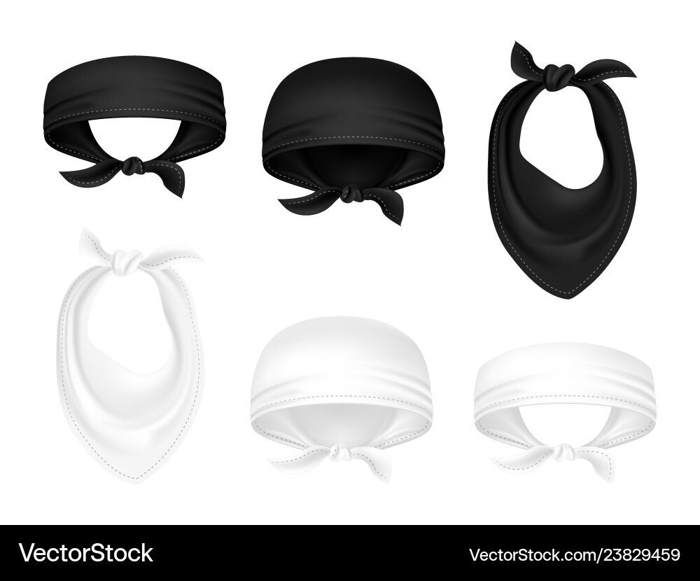 Black and White Bandanas vector image